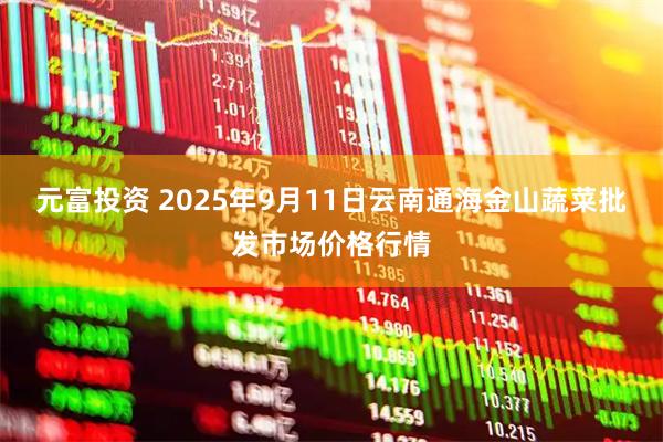 元富投资 2025年9月11日云南通海金山蔬菜批发市场价格行情
