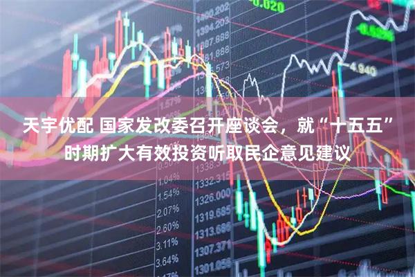 天宇优配 国家发改委召开座谈会，就“十五五”时期扩大有效投资听取民企意见建议