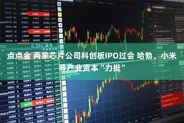 点点金 两家芯片公司科创板IPO过会 哈勃、小米等产业资本“力挺”