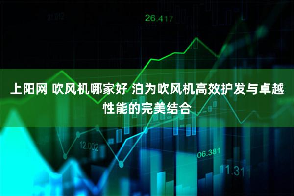 上阳网 吹风机哪家好 泊为吹风机高效护发与卓越性能的完美结合