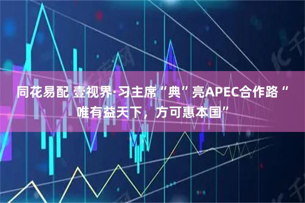 同花易配 壹视界·习主席“典”亮APEC合作路“唯有益天下，方可惠本国”