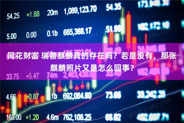 同花财富 瑞兽麒麟真的存在吗？若是没有，那张麒麟照片又是怎么回事？